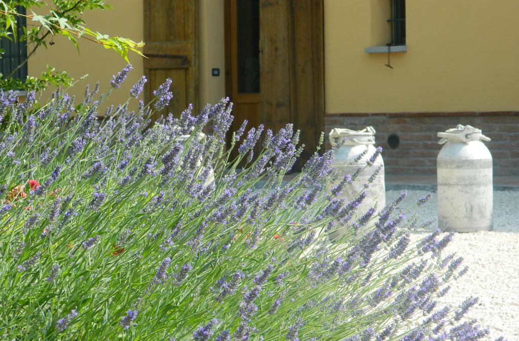 Agriturismo Cascina Pezzolo Лоди Экстерьер фото